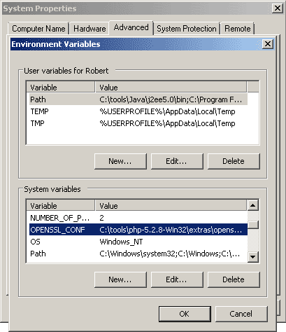 System environment variable