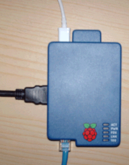 Raspberry Pi with its protective case