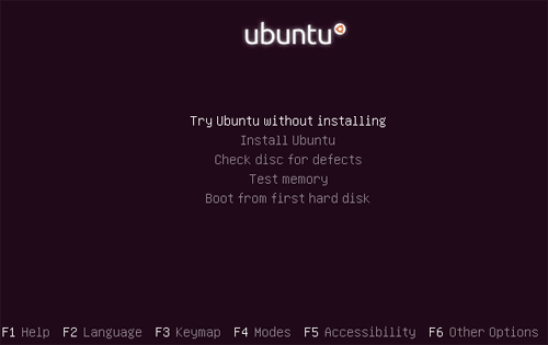 Ubuntu install options