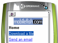 Download a file