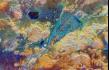 earth_falsecolor