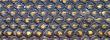 blacksnake_cyc