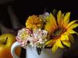 flowers013.jpg
