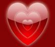 love002.jpg