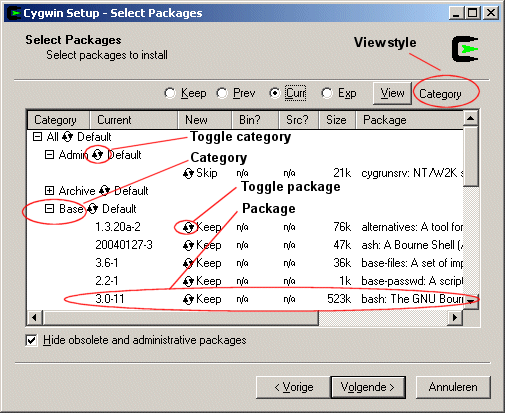 Cygwin chooser window