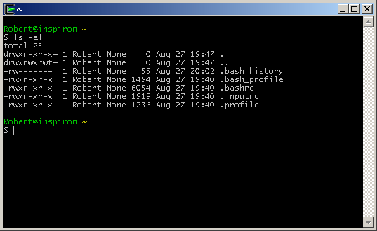 Cygwin Terminal Window