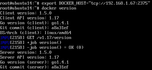 Docker client using network port
