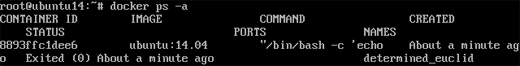 Show container id