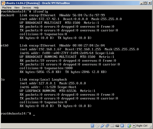 Docker ip address