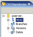 CVS Folders