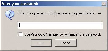 Thunderbird enter password