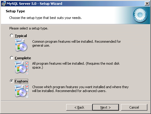 MySQL 5.0 setup type