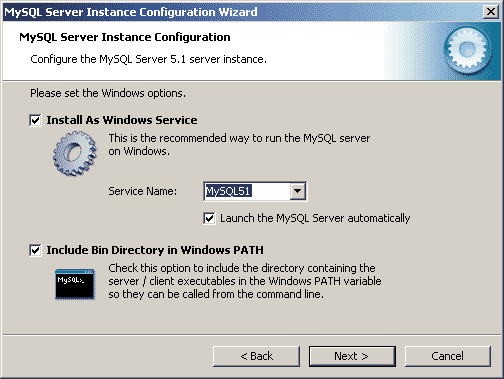 MySQL 5.1 windows options