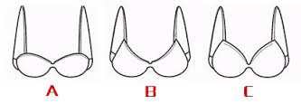  International bra size calculator