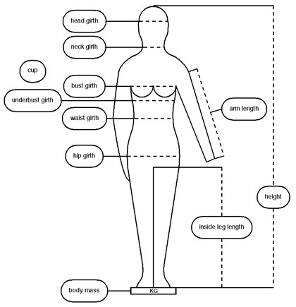 EN 13402 body dimensions women