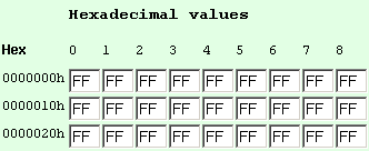 256 bytes with FF