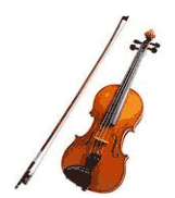 Viola