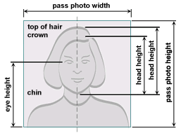 Passport photo dimensions