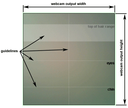 Webcam output