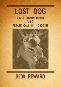 mobilefish com wanted poster generator